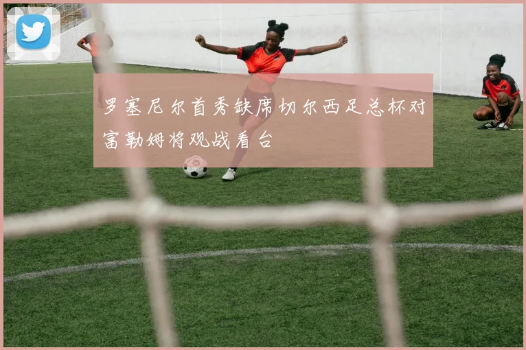 罗塞尼尔首秀缺席切尔西足总杯对富勒姆将观战看台