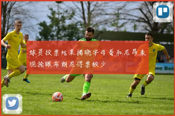 球员投票结果揭晓字母哥和尼昂表现抢眼布朗尼得票较少